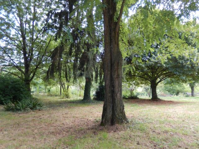 Maison en pierres avec grange et 5000 m2 de terrain