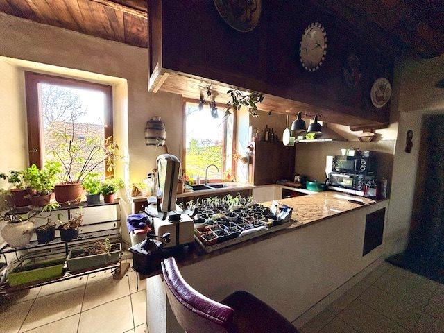 Maison en pierres avec jardin et dépendances 145m² Saint Cirgue