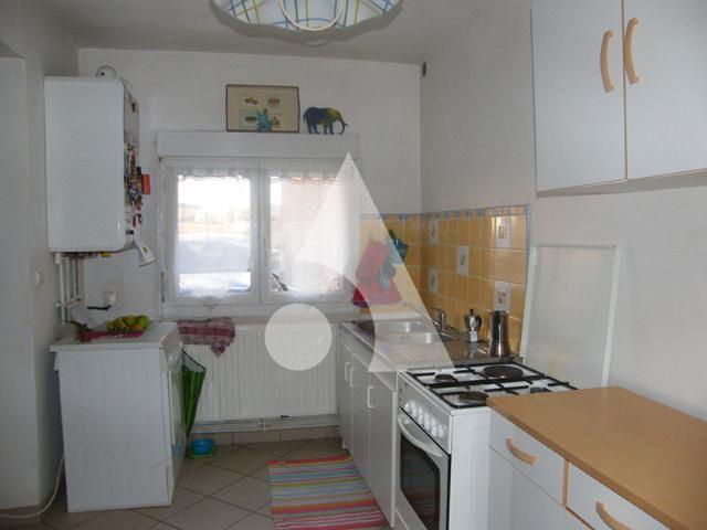 Maison en plain pied 1 chambre avec terrasse et jardin