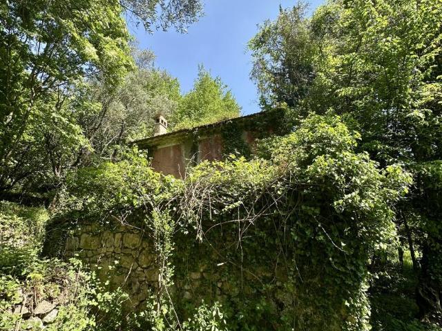 Maison en vente à Tourrettes sur Loup, Provence Alpes Côte d'Azur, 318000€