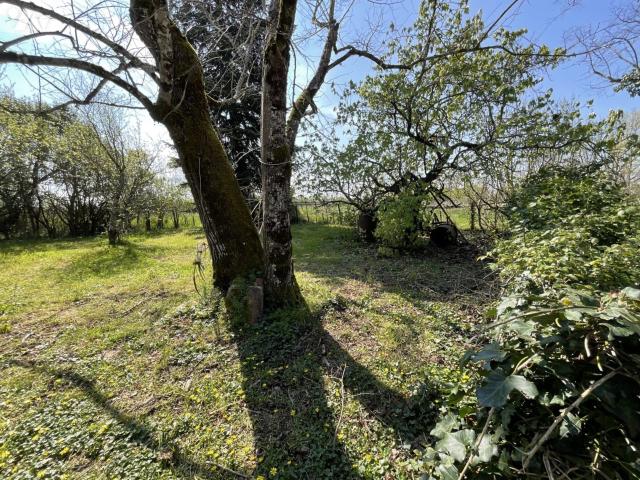 Maison en vente à Comberouger, Occitanie, 191700€