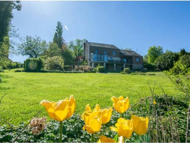 Maison en Vente à Nassogne