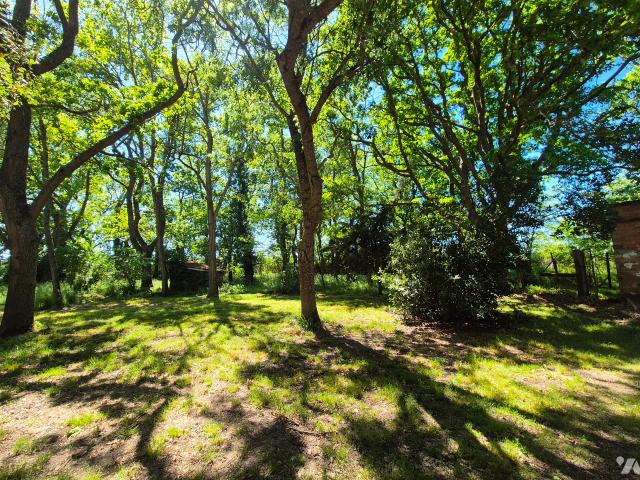 Maison en vente à Savenès, Occitanie, 529400€