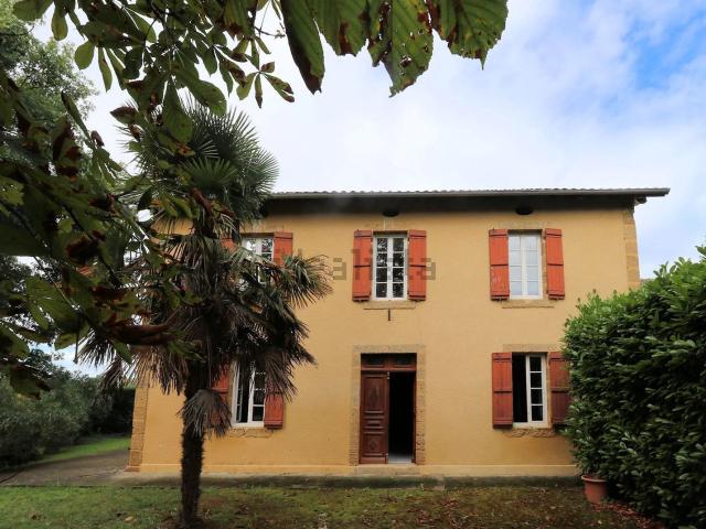 Maison, Eauze