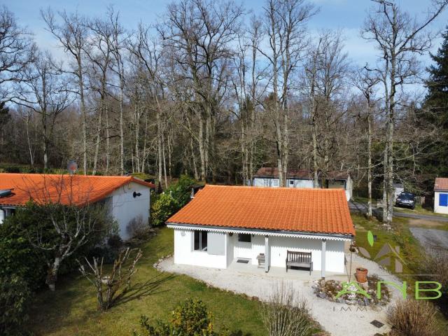 Maison, Écuras