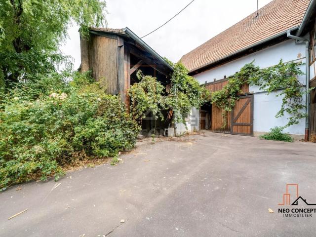 Maison, Eckwersheim