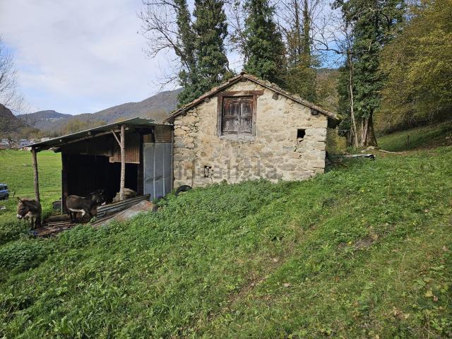 Maison, Ercé