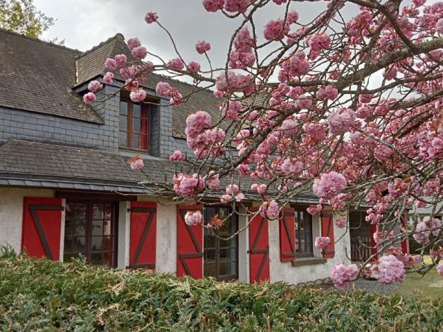 Maison, Éréac