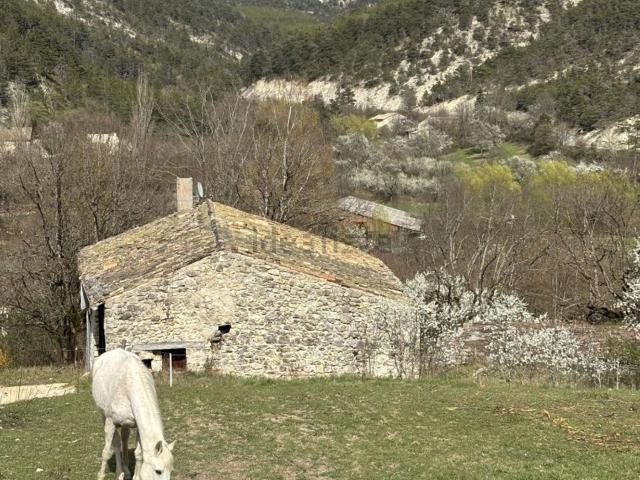 Maison, Establet