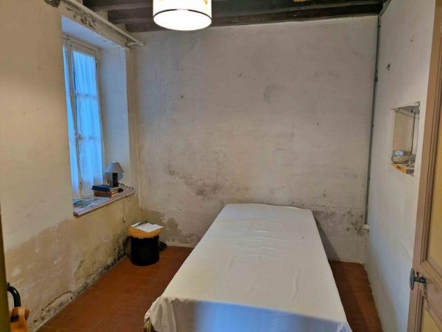 Maison et dépendances +350m² de bâtiments et jardin à rén