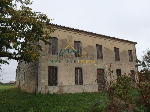 Maison, Fauillet