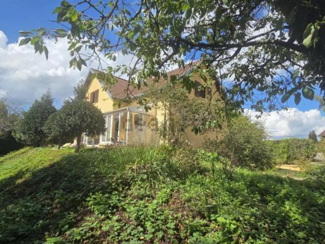 Maison, Fayl Billot