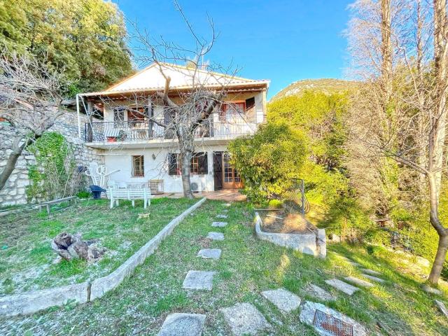 Maison, Falicon