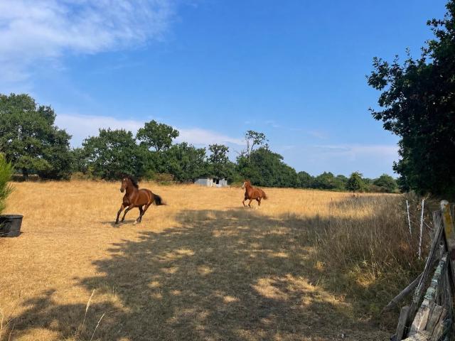 Maison familiale au cœur de la nature