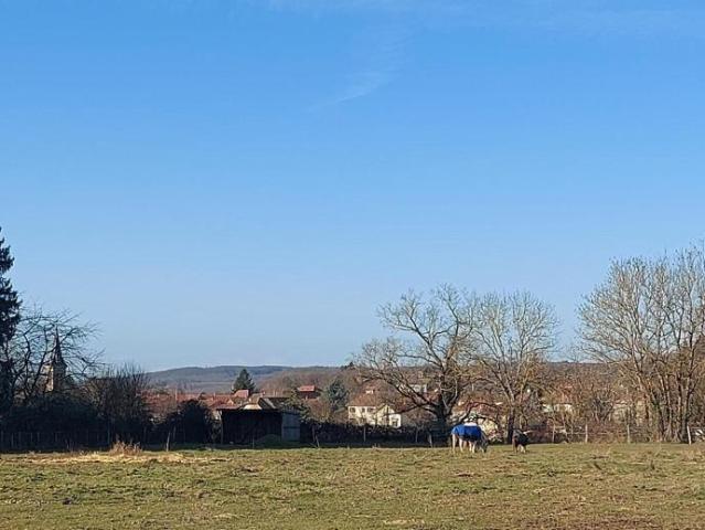 Maison familiale avec vue dégagée