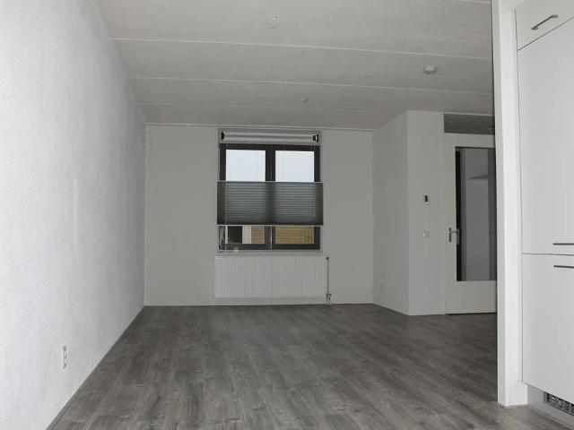 Maison Familiale Hoge Weidesingel 11, Valkenburg ZH À Louer