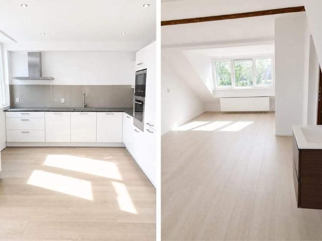 Maison familiale Van Warmondlaan, Wassenaar À Louer
