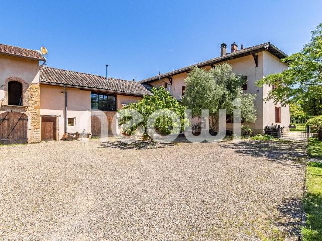 Maison, Fareins