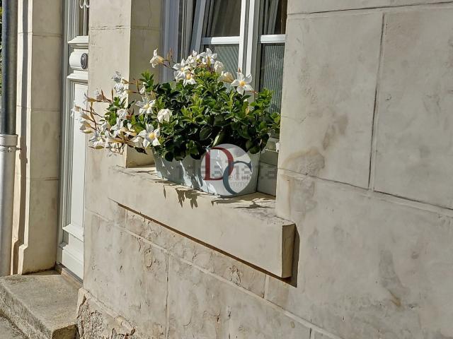 Maison, Fleurines