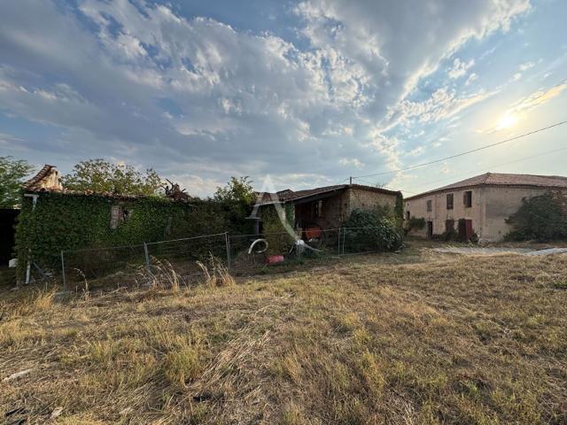 Maison, Florentin