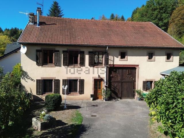 Maison, Frapelle