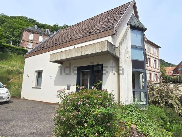 Maison, Fréland