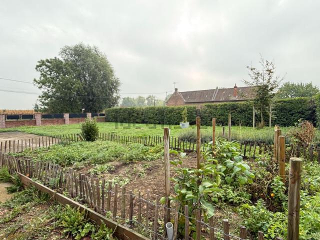 Maison, Fromelles