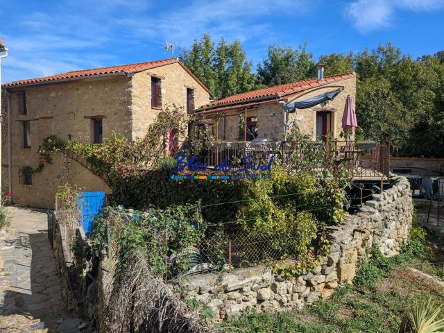 Maison, Fuilla