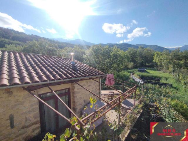 Maison, Fuilla