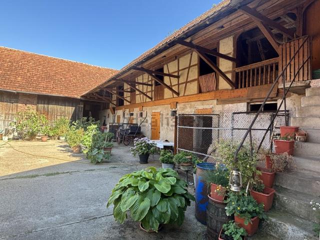 Maison, Kleingœft