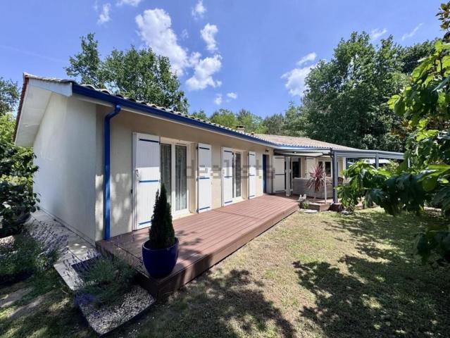 Maison, Hourtin