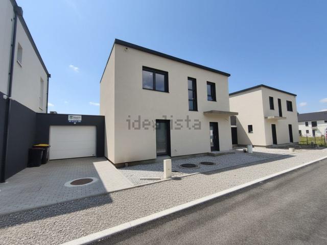 Maison, Haguenau