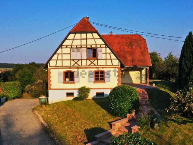 Maison, Haguenau