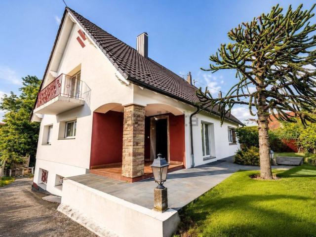 Maison, Haguenau