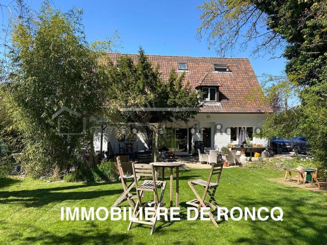 Maison, Halluin