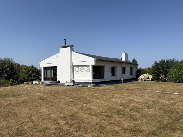 Maison, Halluin