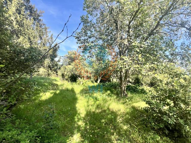 Maison individuelle Neuve 80m² Les Arcs sur Argens