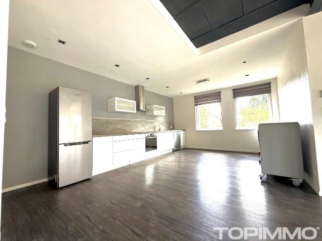 BAISSE DE PRIX ! Maison individuelle esprit loft Wolfgantzen