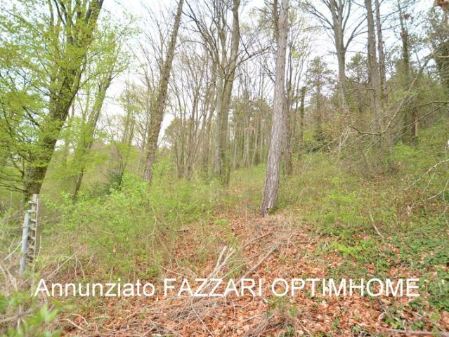 Maison individuelle 230 m² habitables 5 chambres – Terrain 6 341 m² – Environnement nature – Dun sur Meuse
