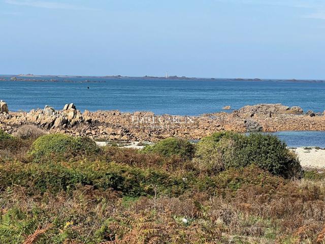 Maison, Île de Bréhat