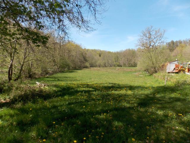 Maison Isolée au bord d'une petite rivière