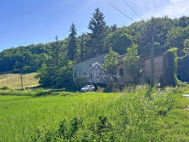 Maison isolée avec 1 hectare de terrain boisé