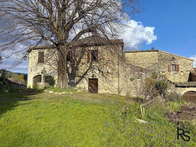 Maison, Joannas