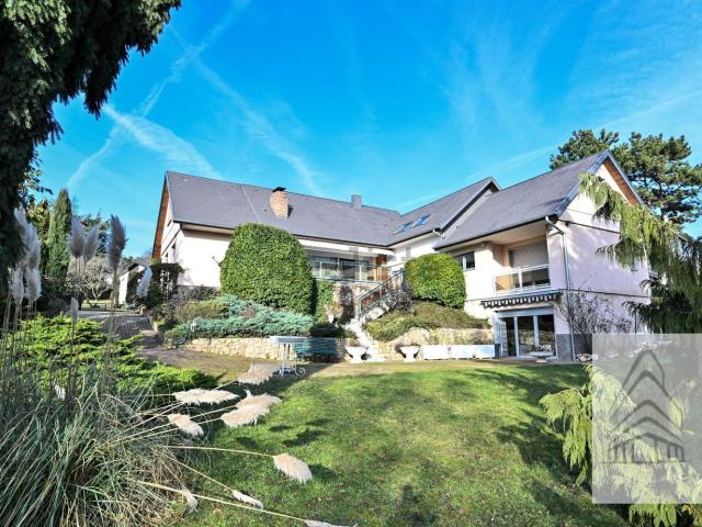 Maison, Obernai