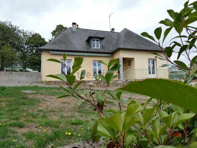 Maison, Oisseau