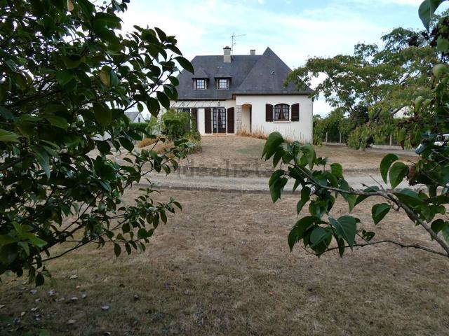 Maison, Oisseau