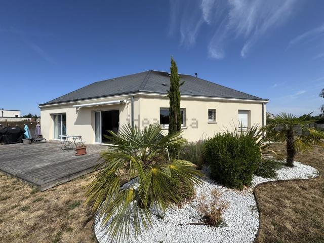 Maison, Olivet
