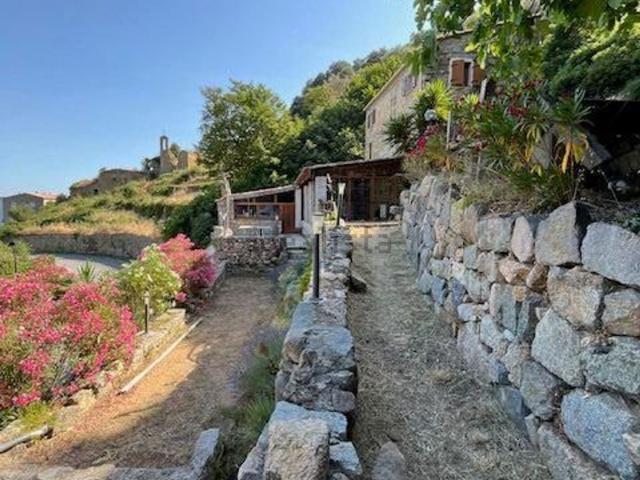 Maison, Olmeto