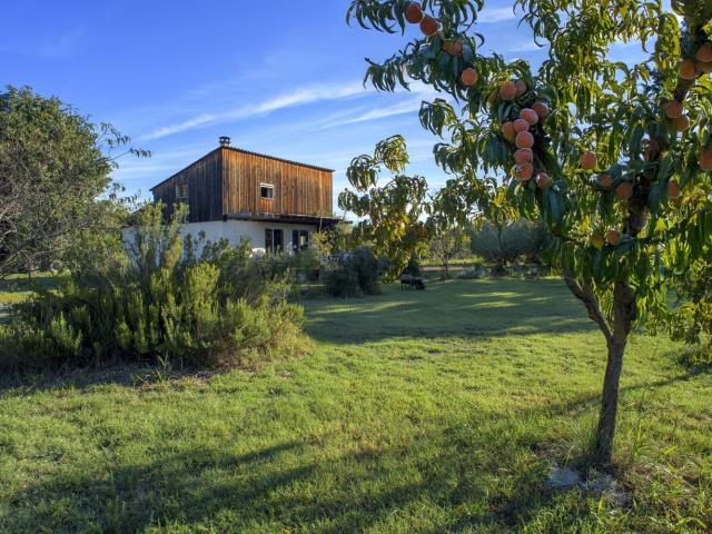Maison, Ortaffa