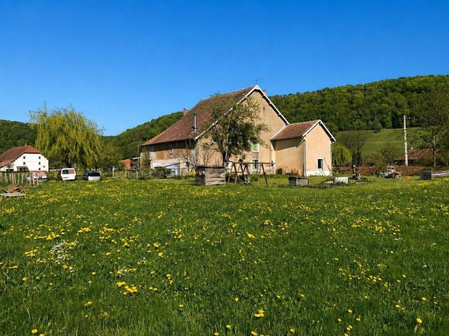 Maison, Orve